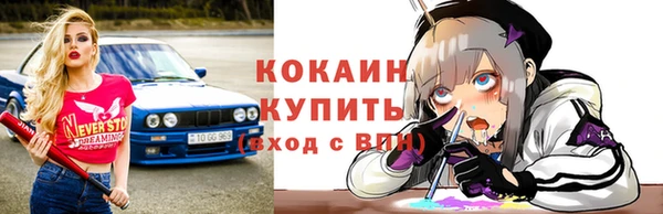 прущие грибы Елизово