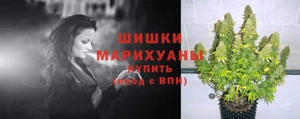 прущие грибы Елизово