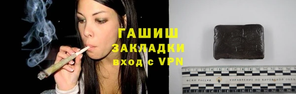 прущие грибы Елизово