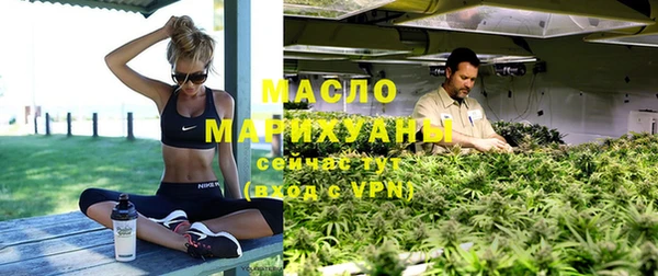 прущие грибы Елизово