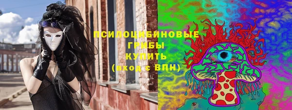 бошки Елабуга