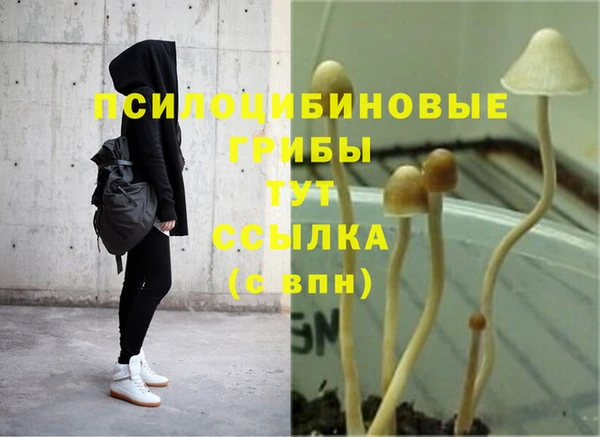 дурь Дмитров