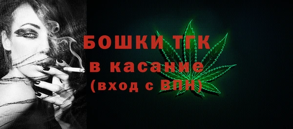 бошки Елабуга