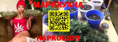 меф Гатчина