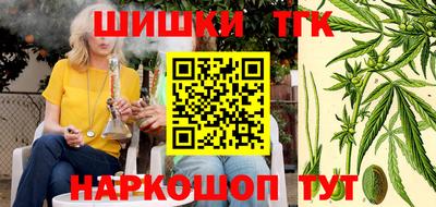 бошки Гагарин