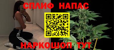 бошки Гагарин
