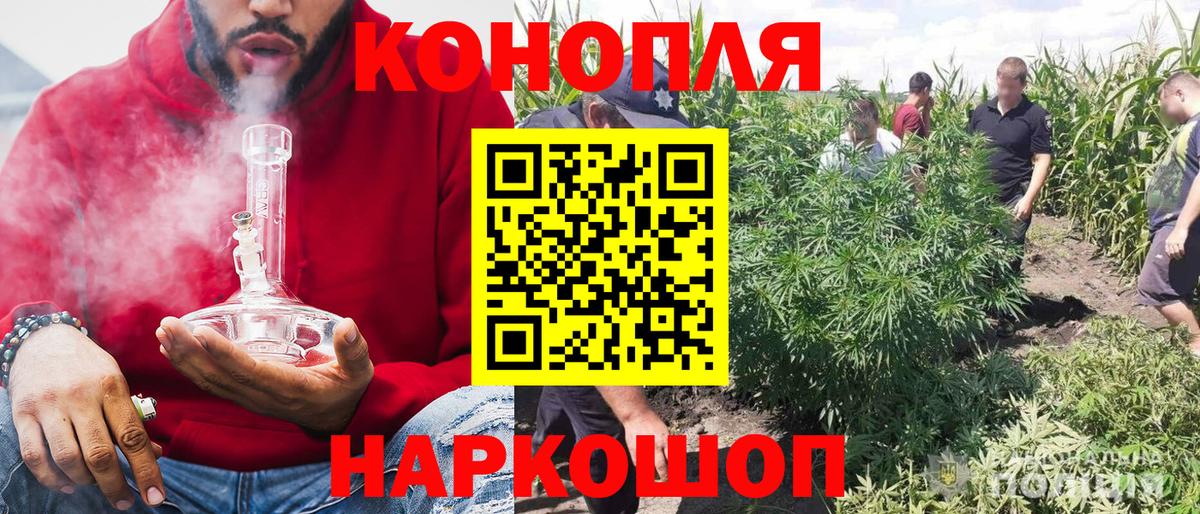 Бошки марихуана Amnesia  Вход с VPN  Елабуга  Шишки марихуана SATIVA & INDICA 